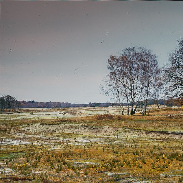 Complexe, omvangrijke verontreiniging Laarder Wasmeren opgenomen in grondwaterbeheer